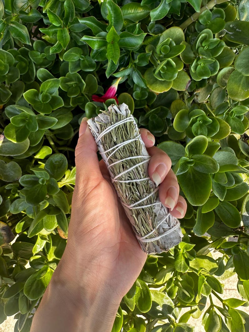 May include: A white sage smudge stick with a green herb, possibly rosemary, wrapped around it. The smudge stick is tied with twine and is held in a hand.