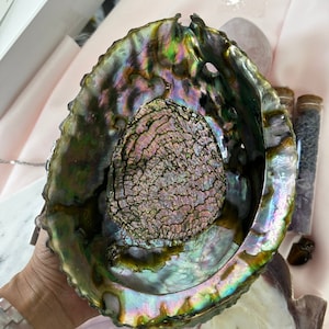 Large Beautiful Abalone Shell Made for Smudging or Decor, Smudging Bowl ...