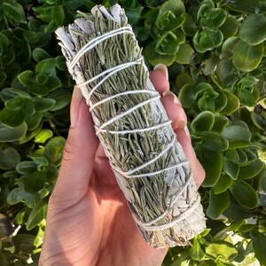 May include: A bundle of white sage and rosemary smudge stick, tied with twine. The smudge stick is held in a hand against a green leafy background.
