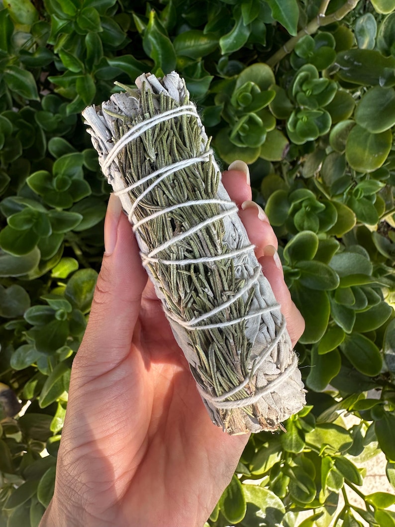 May include: A bundle of white sage and rosemary smudge stick, tied with twine. The smudge stick is held in a hand against a green leafy background.