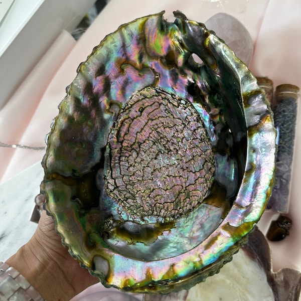 Large Beautiful Abalone Shell made for smudging or decor, smudging bowl