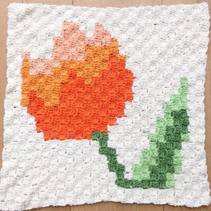 Tulip Square C2C Crochet Pattern