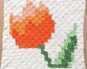 Tulip Square C2C Crochet Pattern
