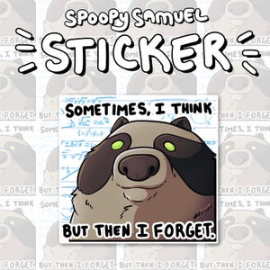 May include: A sticker featuring a cartoon raccoon with the text "Sometimes, I think... But then I forget."