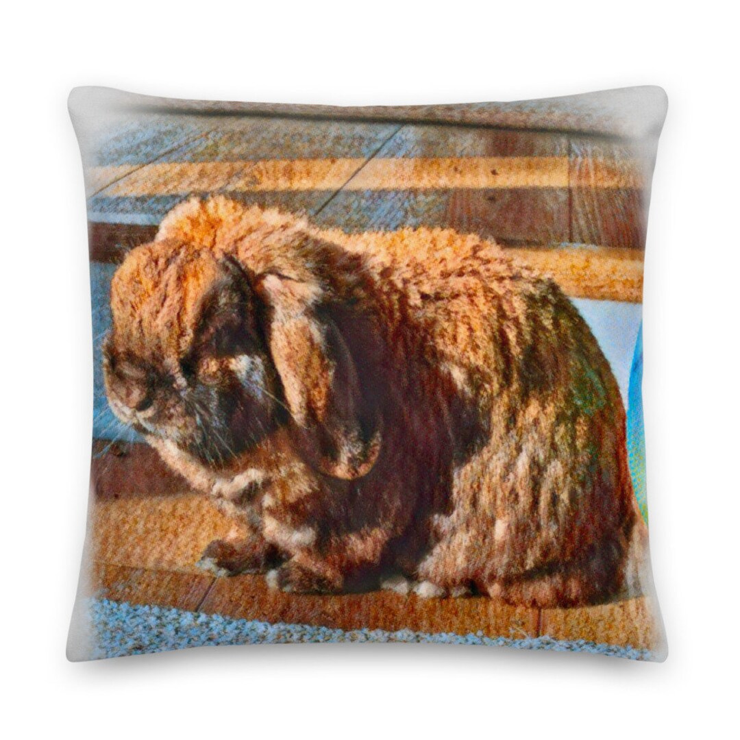 Bugsy Seagle the Bunny, Bunny Pillow, Rabbit Pillow, Double-sided ...