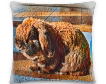 Bugsy Seagle The Bunny, Hasenkissen, Hasenkissen, Doppelseitiges Kissen, Individuelles Kissen, Hasen Geschenk, Hasen Geschenk, Hasen Dekor