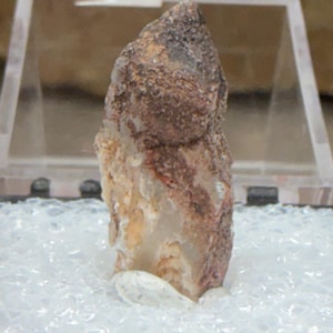 May include: A rough, natural stone specimen with a layered appearance. The top portion is a dark brown, textured surface, transitioning to a lighter, beige and translucent base. The stone is displayed in a clear acrylic case.