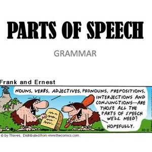Parts of Speech PowerPoint  Presentation and Activity