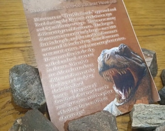 Fossil Dinosaur Bone