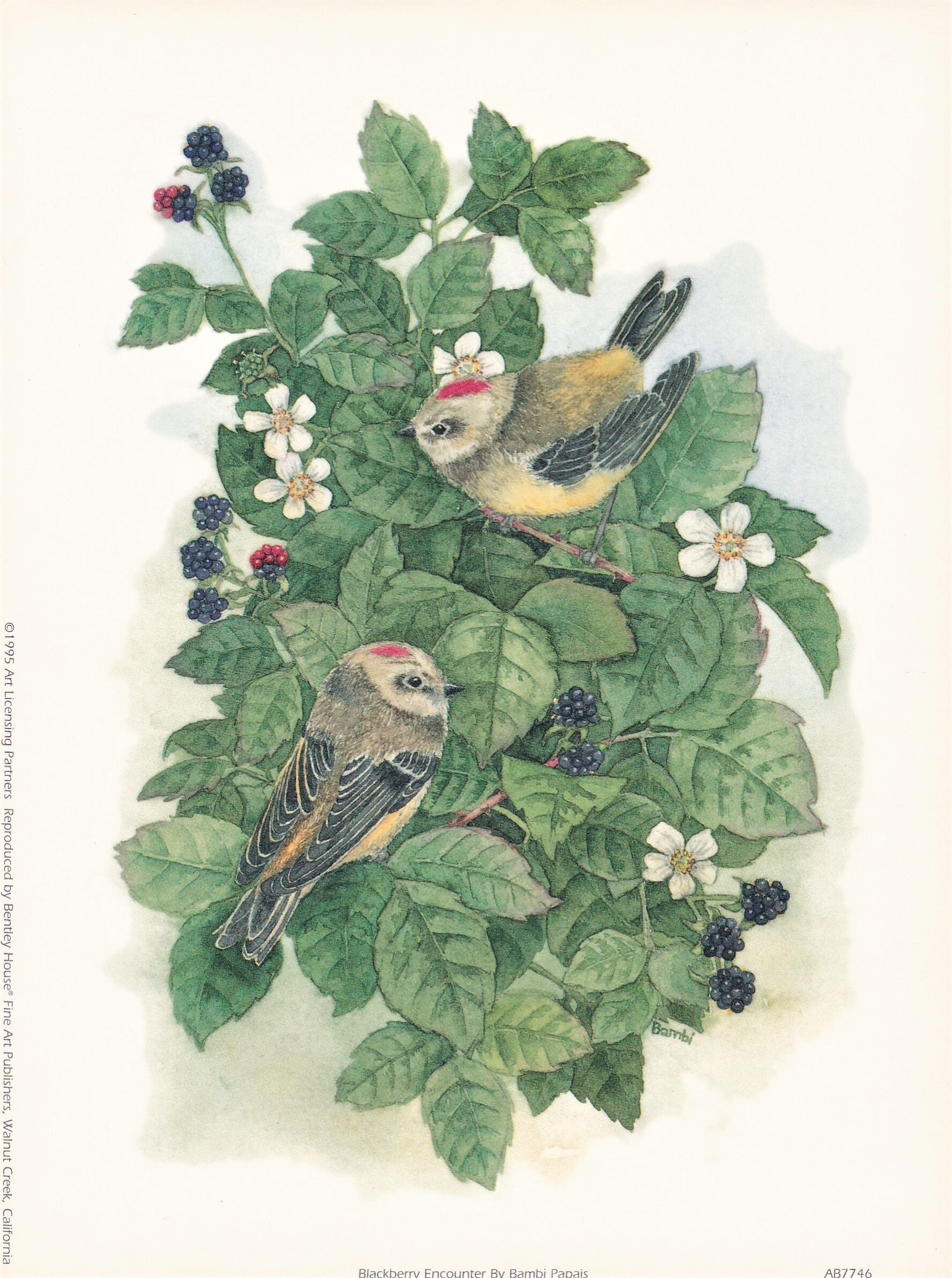 Set/2 Vintage Fine Art Prints by Artist Bambi Papais Etsy