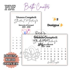 STUDENT MIDWIFE BIRTH Counter - Midwifery Keepsakes, Essentials, Personalised, Unique, 40 Births Record PDf, Customised Midwifery