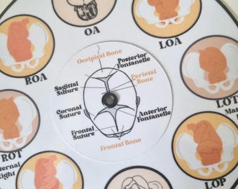 free-space Strumento di Posizione fetale ostetrica, Ruota di Posizione fetale in Legno Intagliato per Medico ostetrica Studente Doula