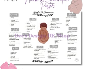 Neonatal Assessment Poster: Midwifery Examination Guide (Digital Download)