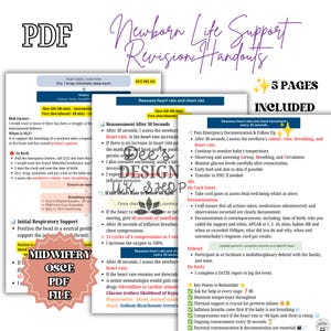 May include: A set of five digital PDF pages titled Newborn Life Support Revision Handouts, featuring medical flowcharts, clinical assessment steps, risk factors, and emergency documentation protocols for neonatal care with bulleted text.