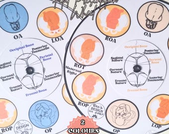May include: A white and black fetal presentation wheel with illustrations of a baby's head in different positions. The wheel is divided into 12 sections, each labeled with a different fetal presentation. The text on the wheel includes "Fetal Presentation Wheel", "Occipital Bone", "Posterior Fontanelle", "Parietal Bone", "Anterior Fontanelle", "Frontal Bone", "Sagittal Suture", "Coronal Suture", "ROP", "LOP", "ROA", "LOA", "ROT", "OP", "2 Colors Available", "Dee's Design UK Shop".