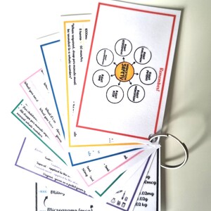 SAFE MEDICATE REFERENCE Guides - Midwifery and Nursing Flashcards, Healthcare, Students Learning Educational Resources, 13 Pocket Guides