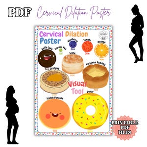 CARTEL DE DILATACIÓN CERVICAL: herramienta visual, estudiante de obstetricia, educación en obstetricia, embarazo, parto y nacimiento, PDF digital, impresión en casa