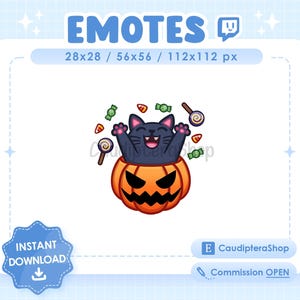 Twitch / Discord Pumpkin Cat Emotes - Pumpkin Cat - Halloween - Streamer - Stream