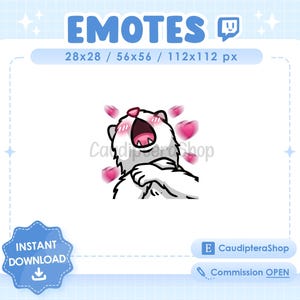 Emote Twitch Cat Meme - White cat - White cat - Love - Heart - Coeur