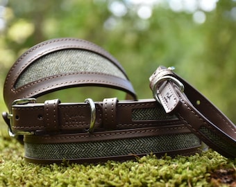 May include: Brown leather dog collar and matching harness with a green and gray herringbone pattern. The collar and harness have silver-colored metal hardware. The items are displayed on a bed of green moss.