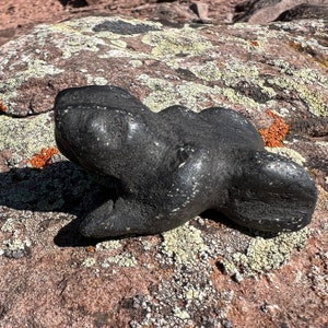 Peruvian Andean Toad - Carved in Black Jiwaya Stone