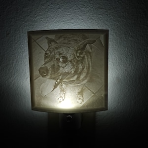 May include: A square night light featuring a detailed image of a dog with its tongue out. The dog has a speckled coat and is centered on a tiled background. The night light emits a soft, warm glow.