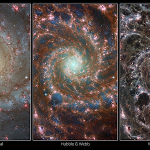 Phantom Galaxy James Webb & Hubble Telescope Photo Print - Choose From 3 Versions - NASA, space, Wall Art, Home decor
