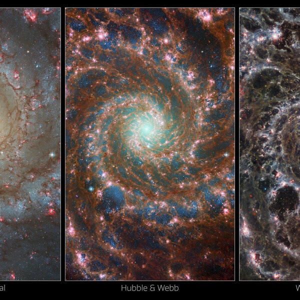 Phantom Galaxy James Webb & Hubble Telescope Photo Print - Choose From 3 Versions - NASA, space, Wall Art, Home decor