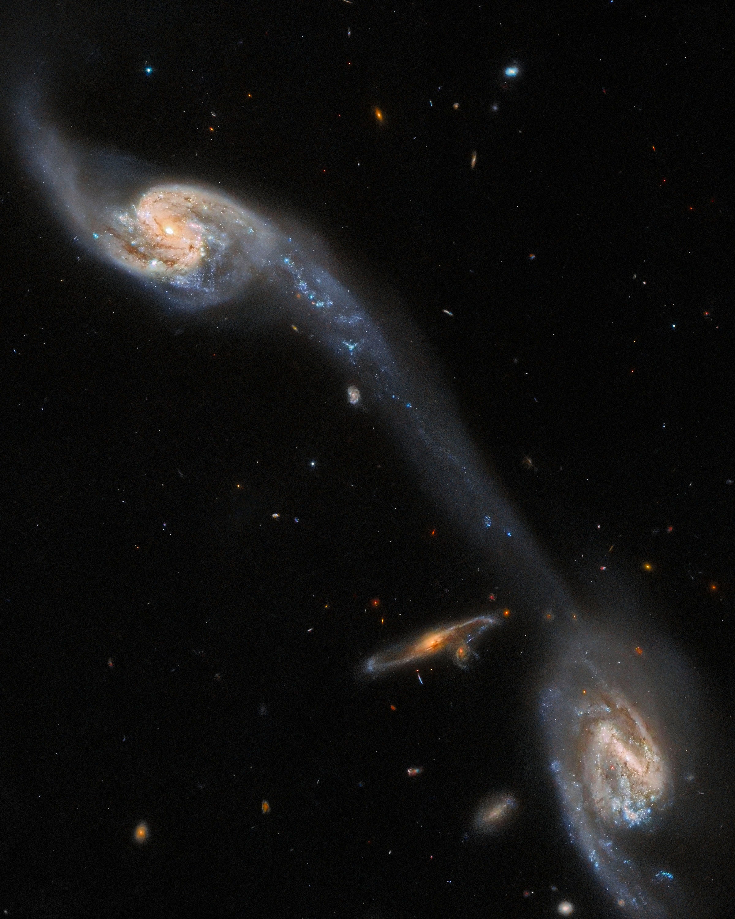 ARP248