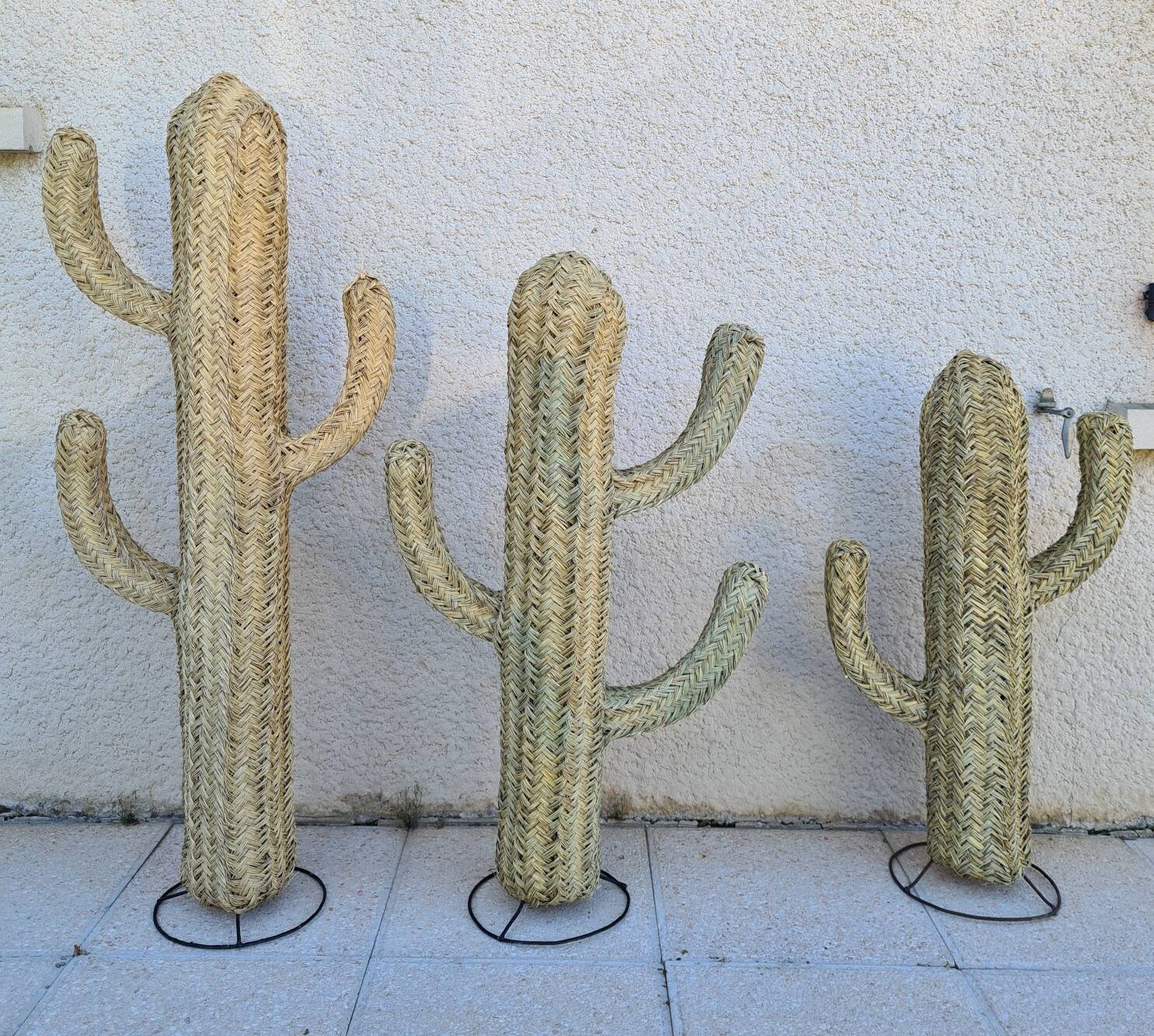 Cactus Feuilles de Palmiers 3 Branches