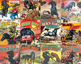 hero comics - Black Fury collection. 12 issues, Over 400 pages, 1950s vintage comics, pdfs suitable for pc, phones, tablets