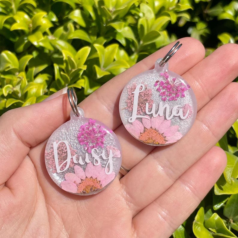 Puede incluir: Dos etiquetas redondas para mascotas con llaveros plateados. Una etiqueta tiene el nombre "Daisy" en escritura blanca, la otra dice "Luna". Ambas etiquetas presentan flores rosas y un fondo plateado brillante.
