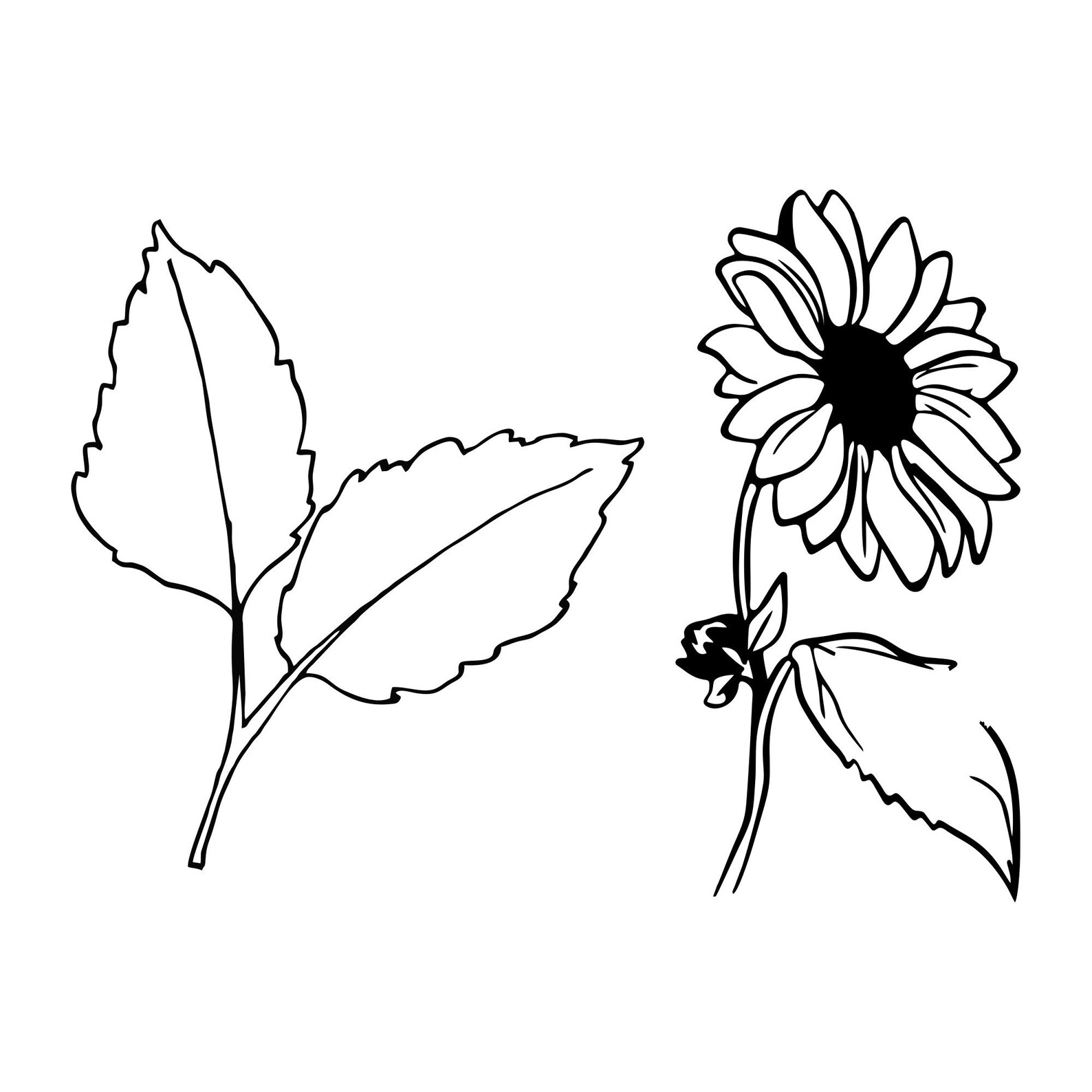 Sunflower SVG Bundle Sunflower Butterfly Svg Distressed Etsy Canada