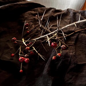 Hawthorn Thorns, Crafting Materials, Pagan Witchcraft Supplies, Protection Charm, Ritual Tools, Folk Magic Talisman image 4