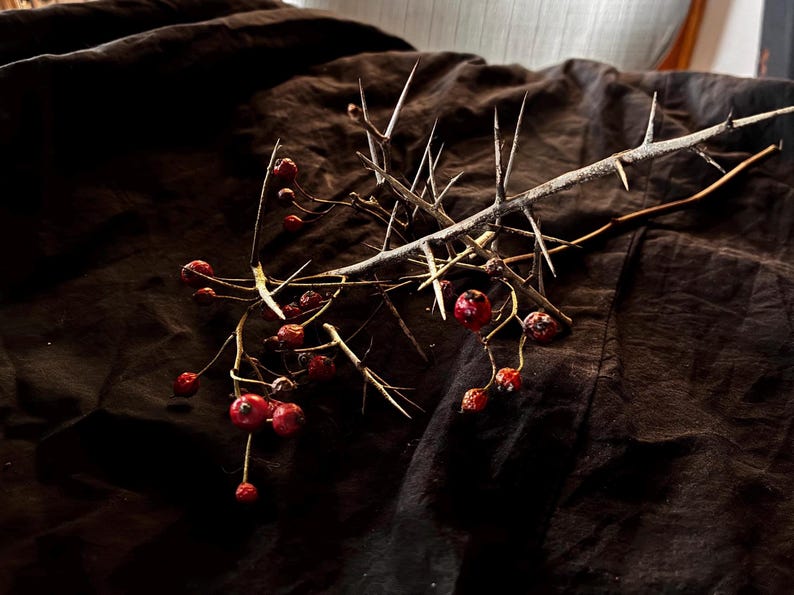 Hawthorn Thorns, Crafting Materials, Pagan Witchcraft Supplies, Protection Charm, Ritual Tools, Folk Magic Talisman image 4