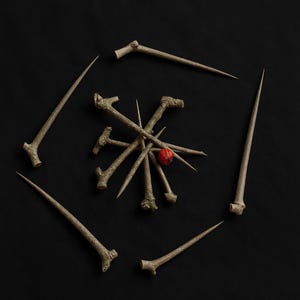 Hawthorn Thorns, Crafting Materials, Pagan Witchcraft Supplies, Protection Charm, Ritual Tools, Folk Magic Talisman image 1