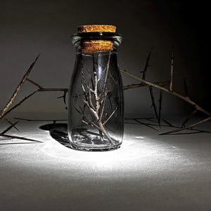 Protection Spell Jar with Real Thorns | Witchcraft Herbs | Gothic Altar Decor