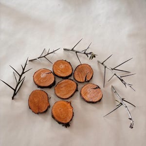 May include: A collection of small, round wooden coasters with visible wood grain and bark edges. Several thorny branches are arranged around the coasters on a neutral-toned surface. The coasters are approximately 3 inches in diameter.