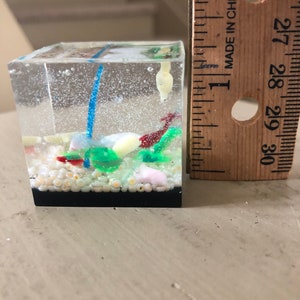 May include: A small, clear cube-shaped resin paperweight with a miniature underwater scene. The scene includes a blue and white striped fish, a red and white fish, a pink and white fish, a green plant, and white sand. The cube is approximately 2 inches tall.