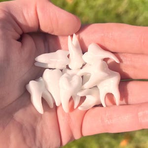 Resin Molars/Teeth-3D Printed