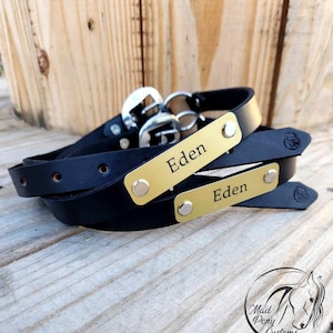 Horse Neck ID Collars