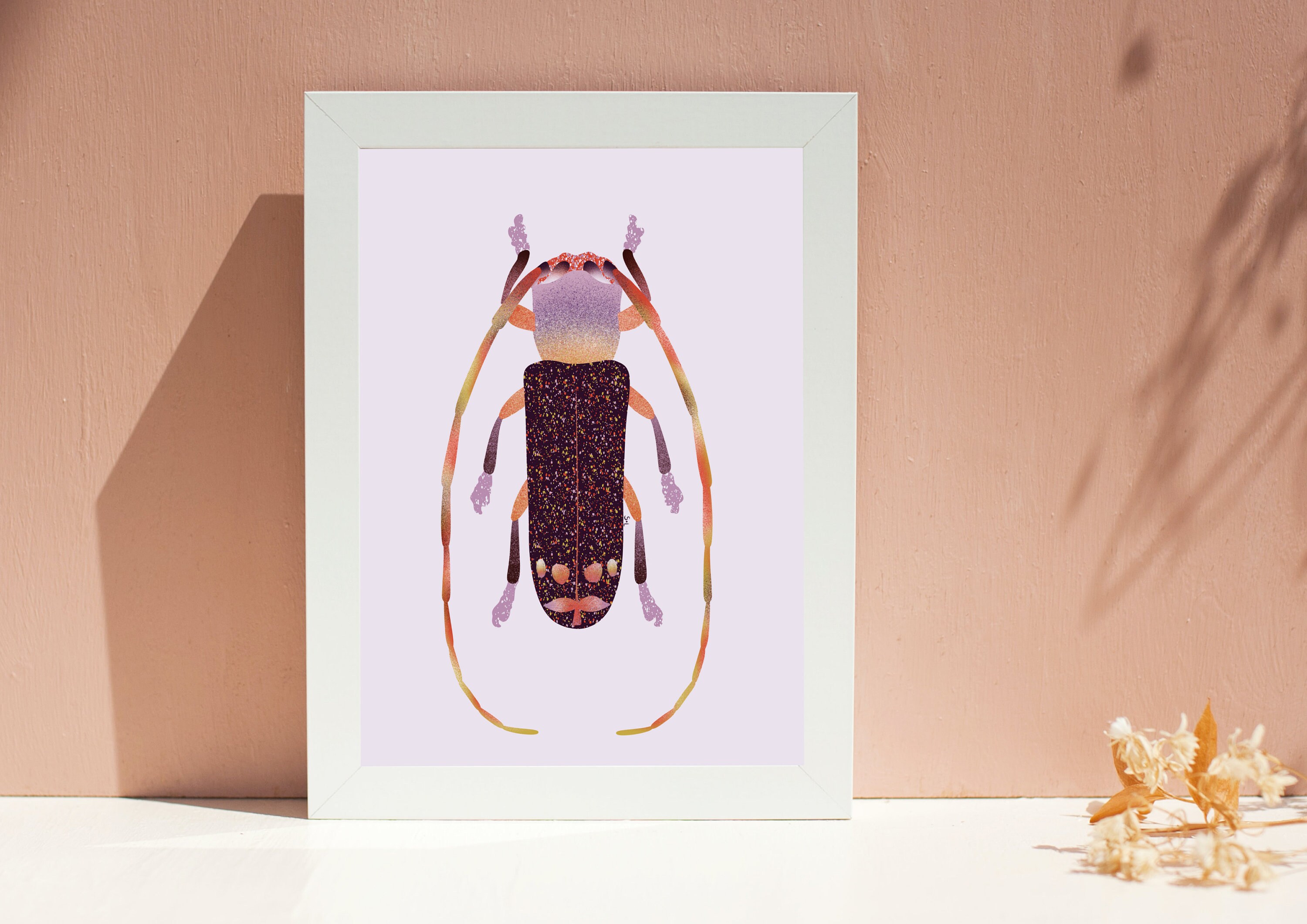 Illustration Série Entomologie - Insecte Numéro 10