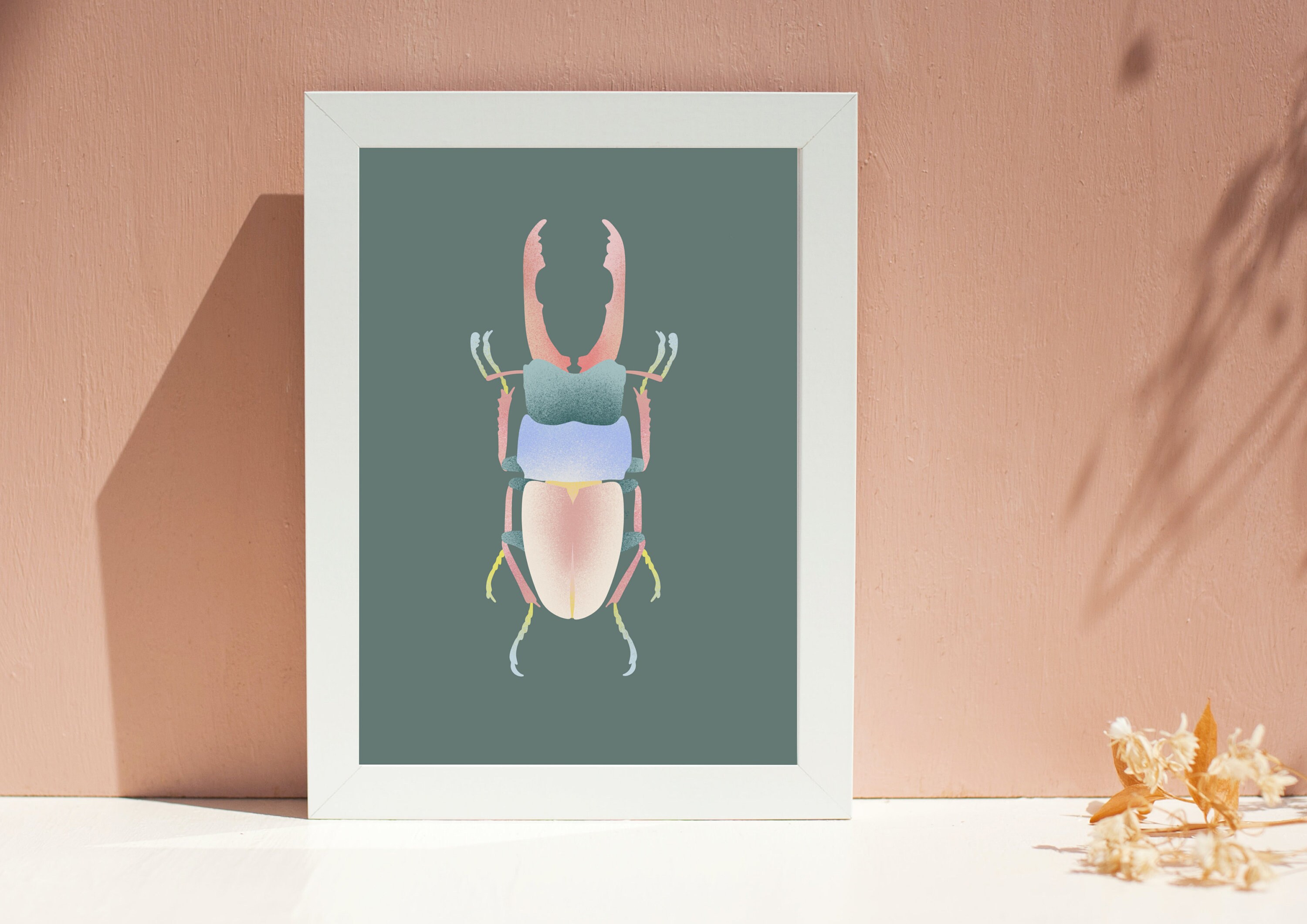 Illustration Série Entomologie - Insecte Numéro 7