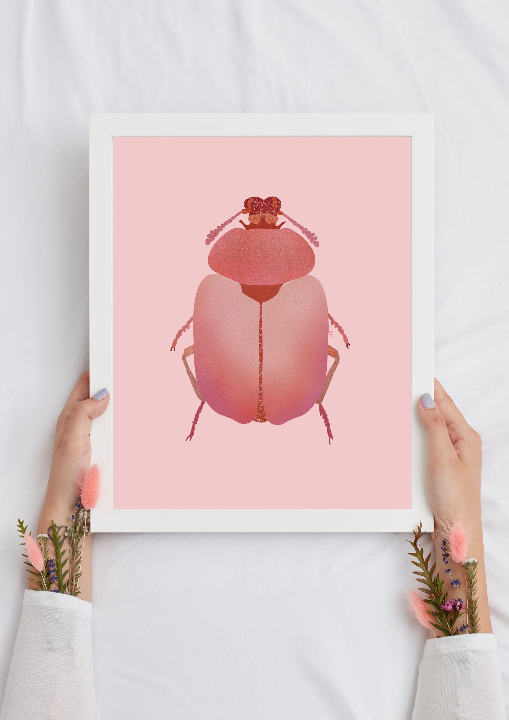 Illustration Série Entomologie - Insecte Numéro 3