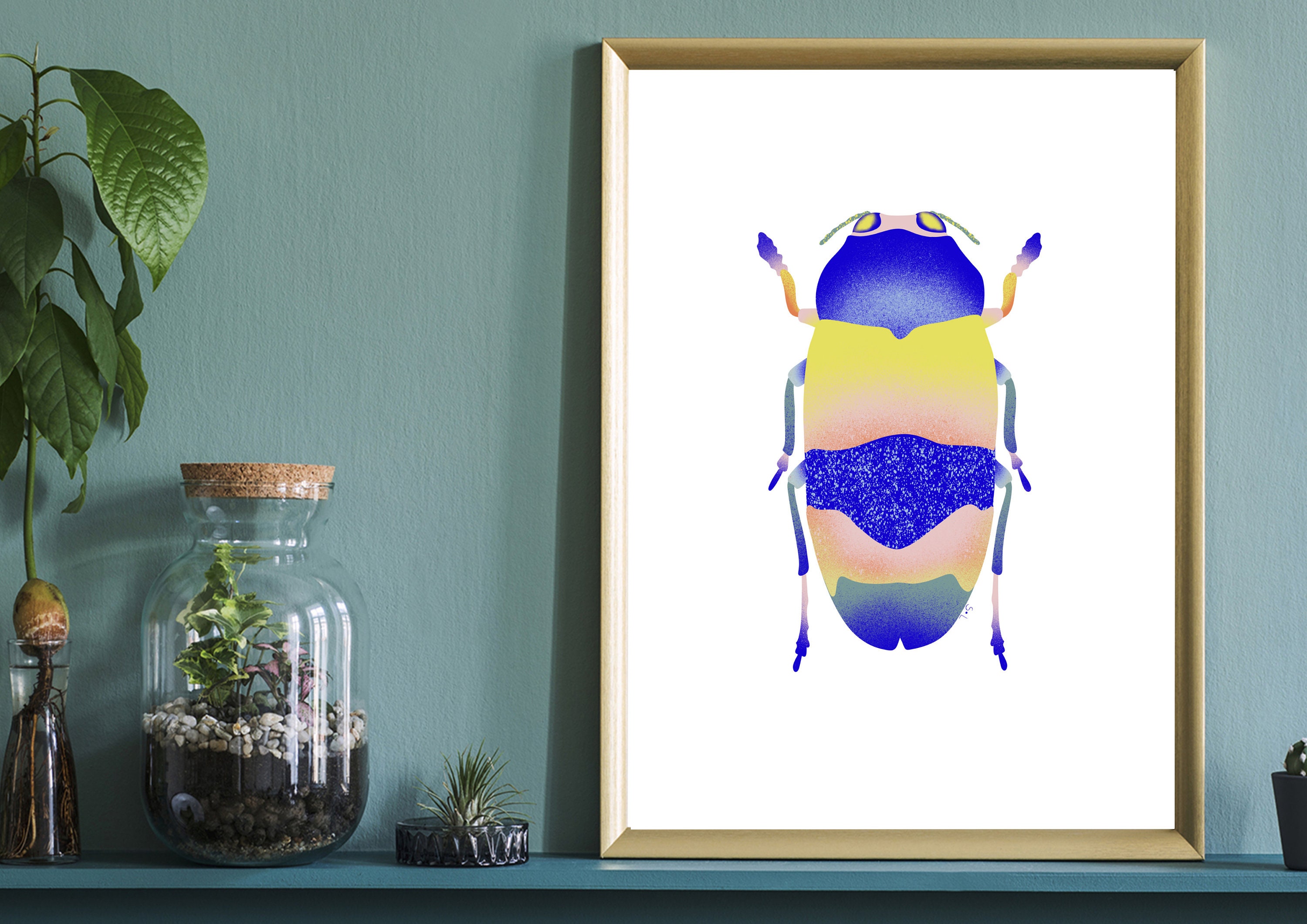 Illustration Série Entomologie - Insecte Numéro 4