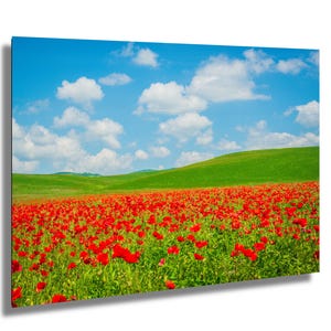 Red Poppy Field Photo Print: Wildflower Meadow Landscape Wall Art