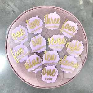 Acrylic Baby Monthly Milestone Disc Set