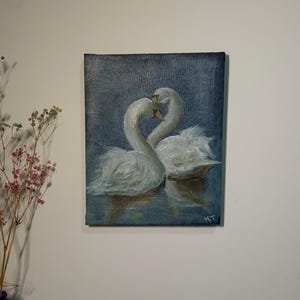 swan pair on serine lake