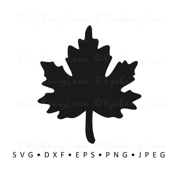 Hoja de arce SVG Hoja de arce Vector Hoja de arce Clipart Otoño SVG Halloween Archivo de corte digital para Cricut Silhouette DXF Uso comercial Descargar