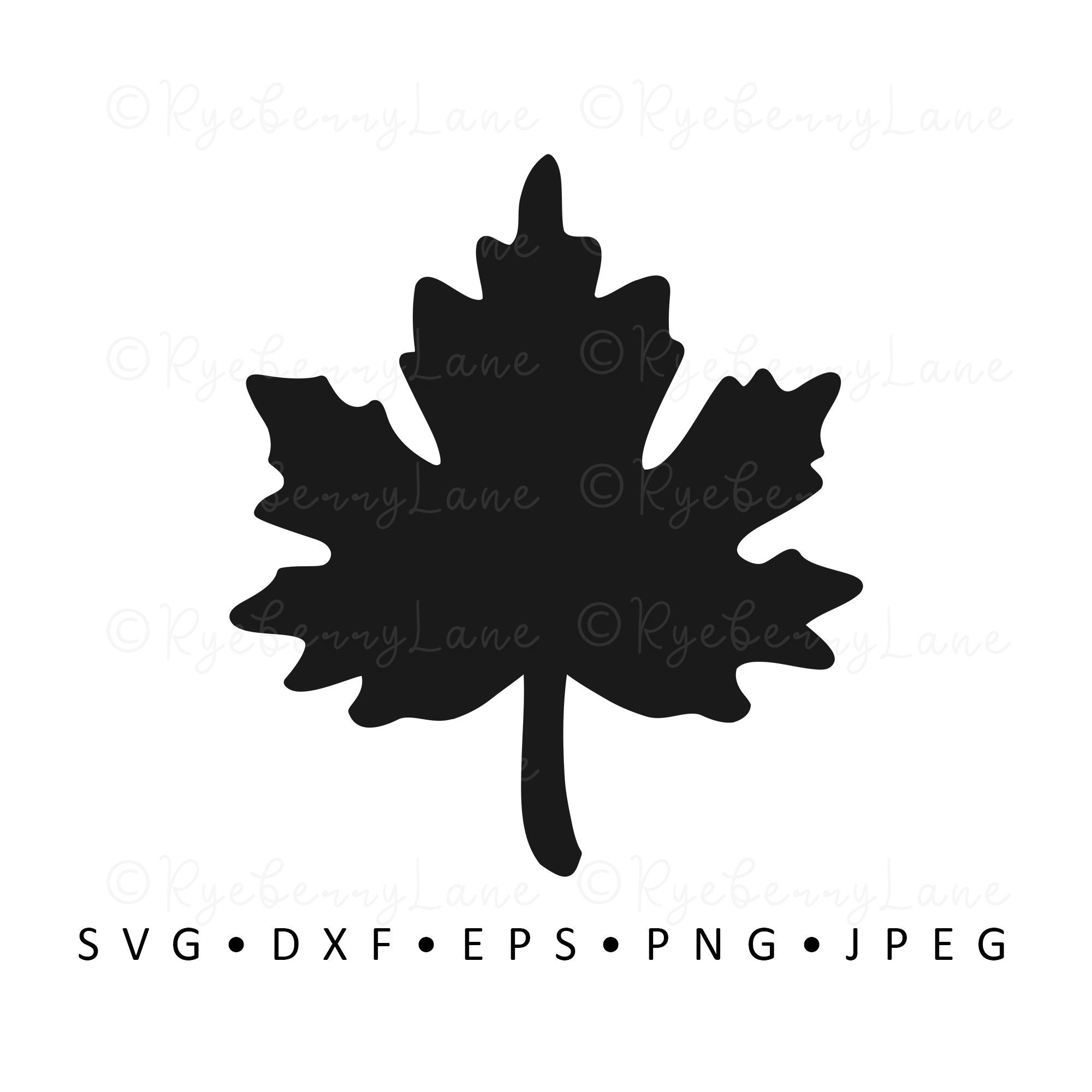 Maple Leaf SVG Maple Leaf Vector Maple Leaf Clipart Autumn SVG Halloween  Digital Cut File for Cricut Silhouette DXF Commercial Use Download